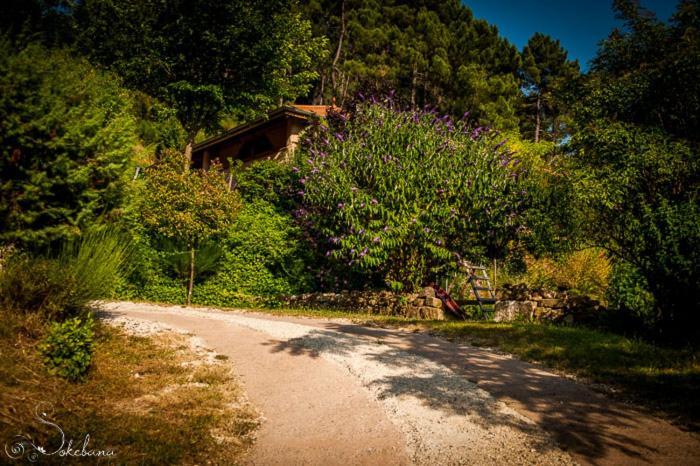 Вилла Le Nid Des Anges Saint-Andre-Lachamp Экстерьер фото