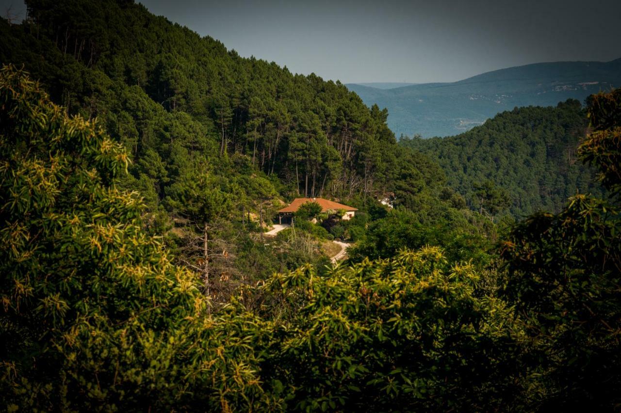 Вилла Le Nid Des Anges Saint-Andre-Lachamp Экстерьер фото
