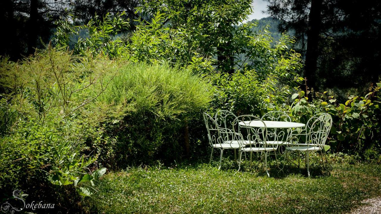 Вилла Le Nid Des Anges Saint-Andre-Lachamp Экстерьер фото